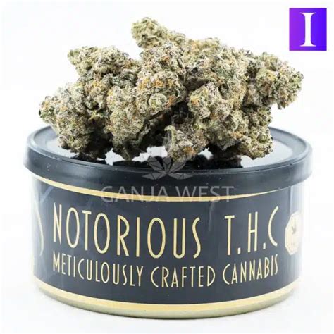 Notorious Thc Craft Ice Princess Grams Ganja West