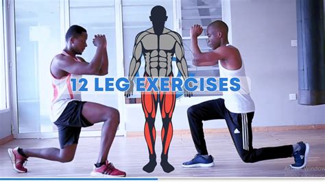 12 BEST LEG EXERCISES No REPEATS 15 MIN KILLER LEG DAY Home Workout