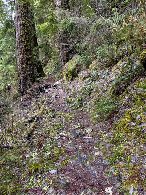 Parker Falls Hike Oregon