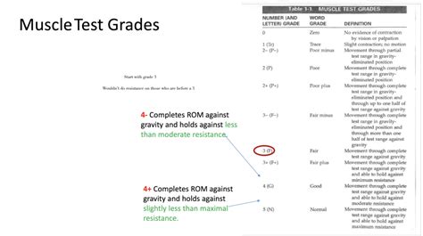 MMT Grading Scale Diagram | Quizlet