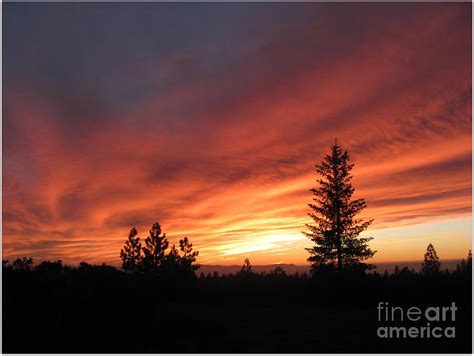 Sunset3 Photograph By Irina Hays Fine Art America