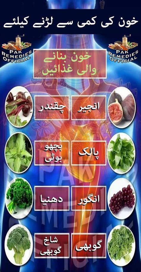 Pin By Sh Aftab Ahmed Ahmed On Blood Folder Healthy Homemade Recipes