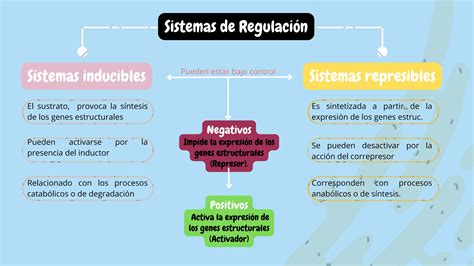 Breve Explicaci N De La Regulaci N Genica En Procariotas Ppt