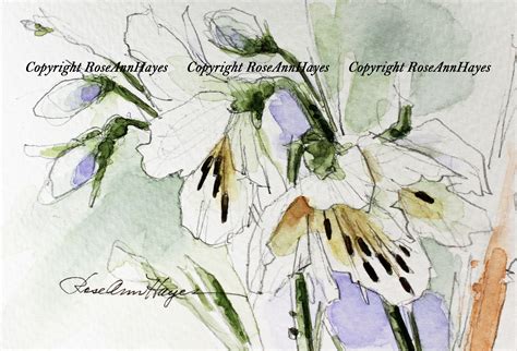 Wild Iris Watercolor By Roseann Hayes Watercolor Paintings Painting