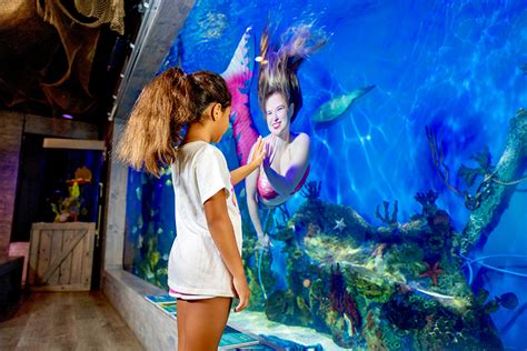 Mertailor's Mermaid Aquarium Encounter - Mermaid Shows and Educational Aquarium