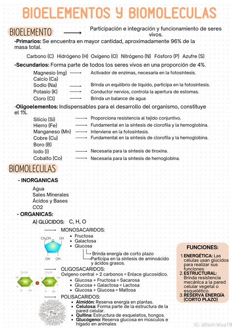 SOLUTION Bioelementos y Biomoléculas Studypool