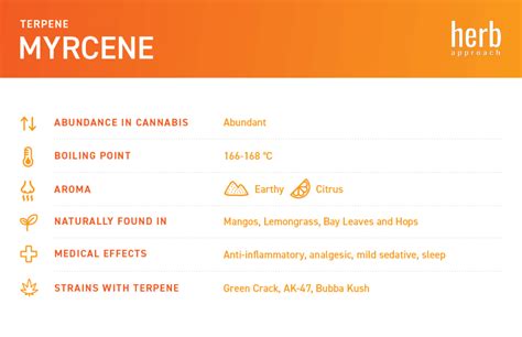 Myrcene - Uses, Effects, and Benefits in Weed | Herb Approach