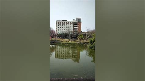 最美校園景色the Most Beautiful Campus，彰化明道大學，湖邊適之橋上的美景。shorts校園景色明道大學