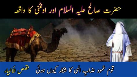 Hazrat Saleh A S Ki Ontni Ka Waqia Story Of Prophet Saleh A S Camel