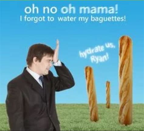 The Best Baguette Memes Memedroid