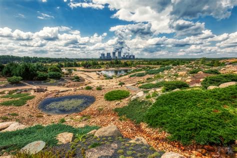 Findlingspark Nochten Einzigartiges Naturerlebnis In Der Lausitz