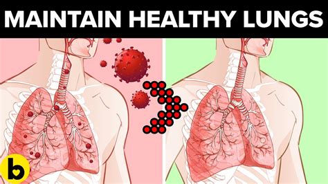 Prevent Lung Diseases And Maintain Healthy Lungs By Doing These Youtube