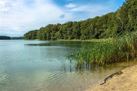 20 Best Things to do in Poznań, Poland - Road Affair