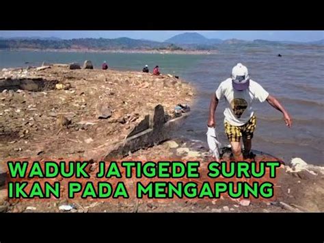 Waduk Jatigede Surut Warga Panen Ikan Youtube