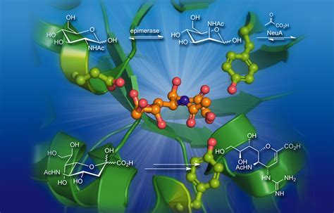 Biocatalysis In Organic Synthesis 1 3 Thieme Chemistry Georg Thieme