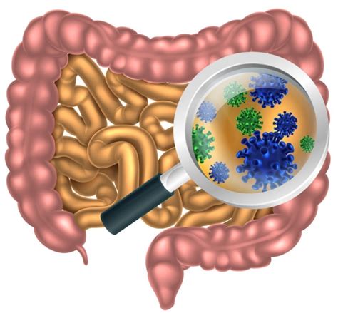 Stunning Diversity Of Gut Bacteria Uncovered By New Approach To Gene