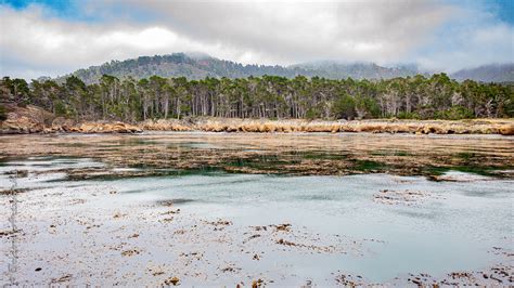 Whalers Cove Whalers Cove Point Lobos State Natural Reser Jason