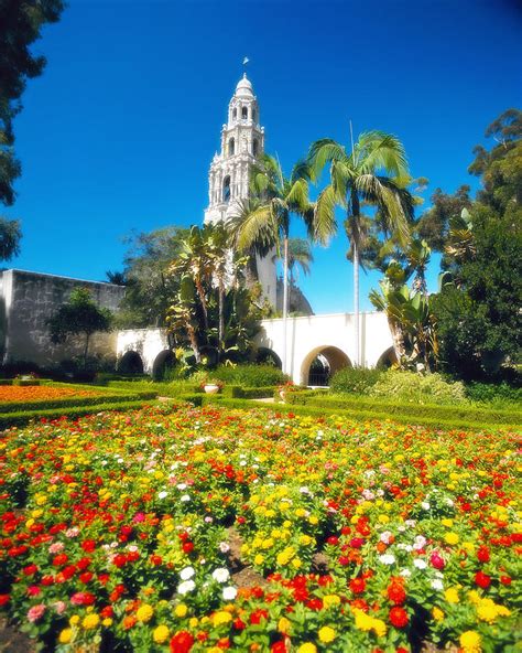 Balboa Park San Diego 1 Photograph By Larry Mulvehill Pixels