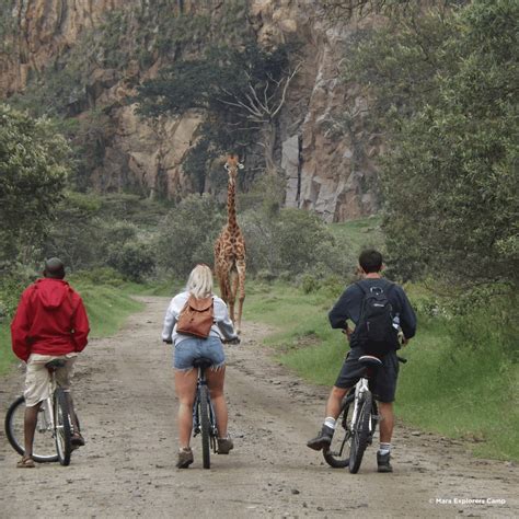 Tage Safari Kenia Tansania Sansibar