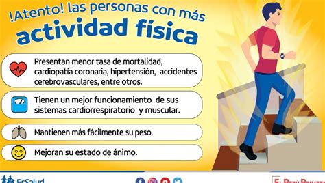 Subir Y Bajar Escaleras Beneficios Y Para Qué Sirve