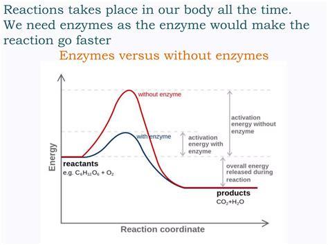 enzyme catalyzed reactions | PPTX