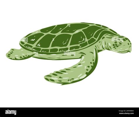 Australian Flatback Sea Turtle Side View WPA Art Stock Photo - Alamy