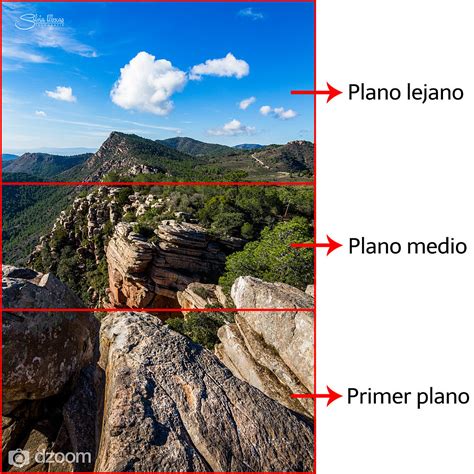 Descubre Las Grandes Aportaciones Del Primer Plano En Fotograf A De