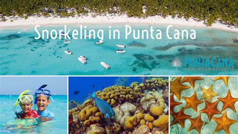 Best Punta Cana Snorkeling Beaches & Tours 2024 - Dominican Republic