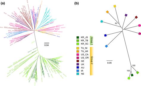 Phylogenetic Trees Displaying The Relationship A Among All Heterodera