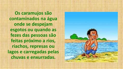 Esquistossomose Ppt