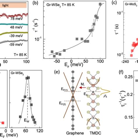 A Schematic Of The Graphene Tmdc Heterostructure Along With The Download Scientific Diagram