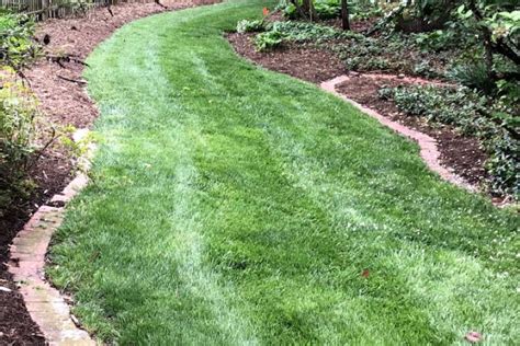 Best Lawn Care Services In Burke Va Mowcow