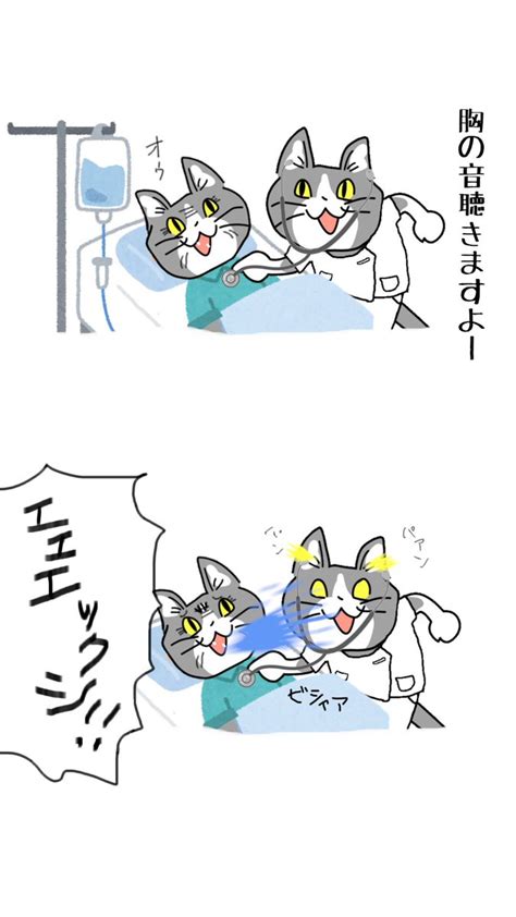 現場猫 看護師 音は凶器。 」病院猫の漫画