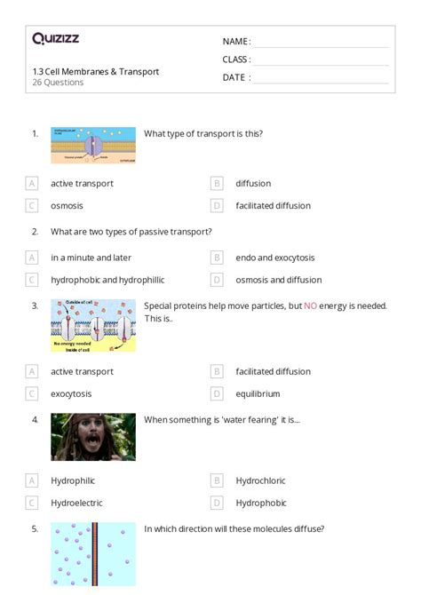 50 Membranes And Transport Worksheets For 12th Year On Quizizz Free