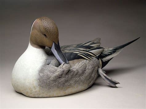 Northern Pintail Drake 2010 Bird Carving Patterns Decoy Carving