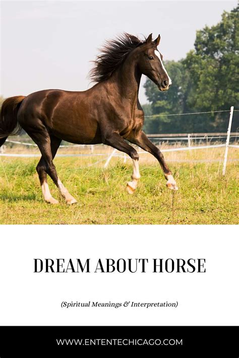 Dream About Horse Spiritual Meanings And Interpretation