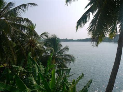 Anushka River Inn Guest House Reviews Sri Lankaaluthgama Tripadvisor