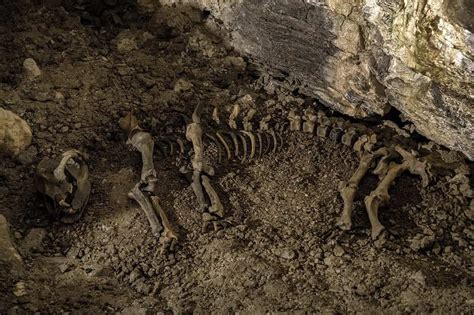 Scopri Il Fossile Di Miliardi Di Anni Il Pi Antico Sulla Terra