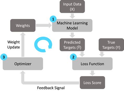 Machine Learning Basics How Are Models Trained Agmanic Vision