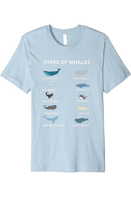 Types Of Whales Silver Atelier Yuwa Ciao Jp