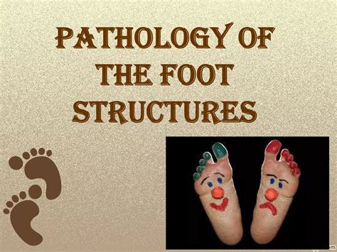 Foot pathology MRI part 1.shorouk zaki | PDF