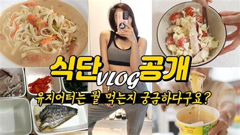 다이어트 식단공개 그리고 시크릿 비법 유지어터의 브이로그 Vlog Youtube