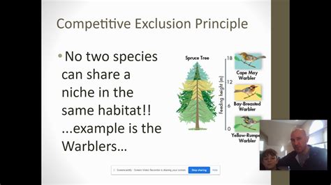 Competitive Exclusion Principle