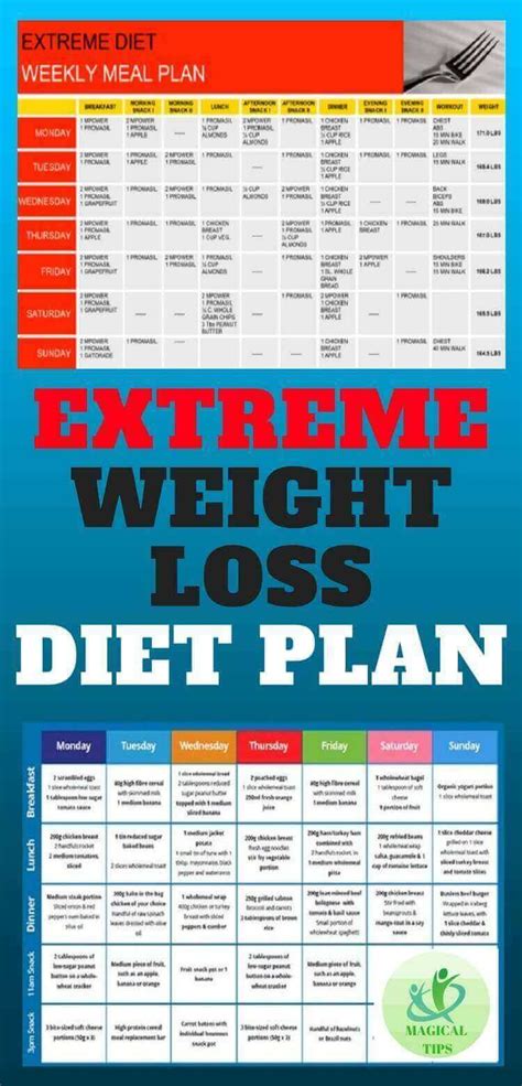 Extreme Weight Loss Diet Plan Pdf: An Overview Of Different Options ...