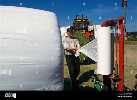 Farmers Wrap Silage Round Bales In Plastic With Mechanical Bale