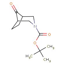 现货供应ChemShuttletert butyl 8 oxo 3 azabicyclo 3 2 1 octane 3