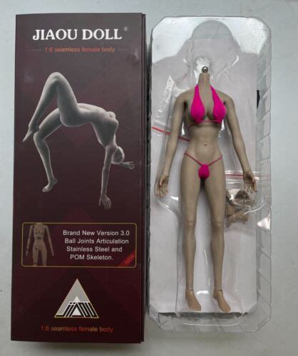 Jiaou Doll Scale Female Large Bust Figure Suntan Color Phicen Hot Toys Ebay