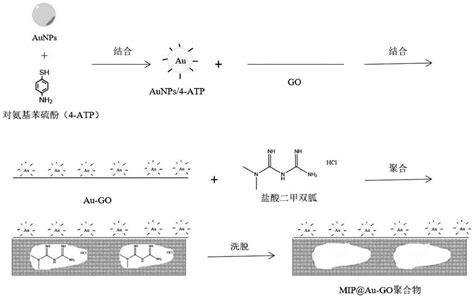 三明治结构分子印迹sers基底及其制备方法与应用与流程3