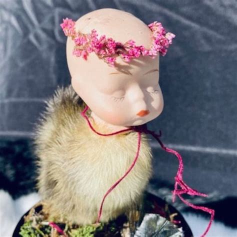 Taxidermy Duckling Etsy