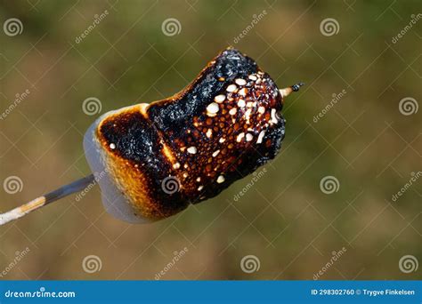 Burnt Marshmallow On A Stick Stock Photo Image Of Macro Chocolate